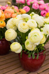 Vase with persian buttercup flower bouquet
