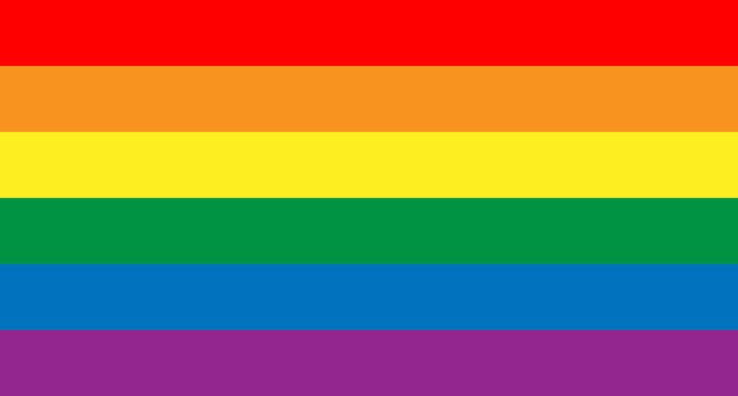 LGBTQIA+ FLAG VECTOR