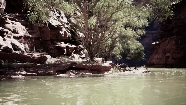 beautiful day on the river with sandstone cliffs and reflections