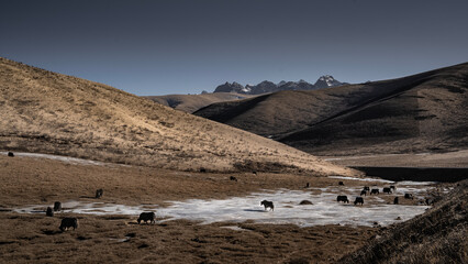 landscape with snow and mountains