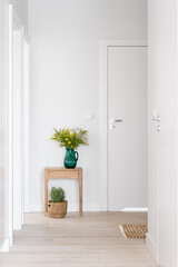 corridor with decor and plants at stylish apartment