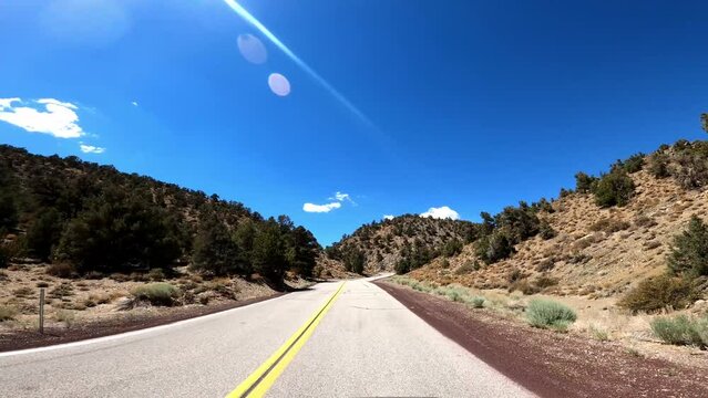 Hwy 168 21 Patriarch Grove Driving POV California