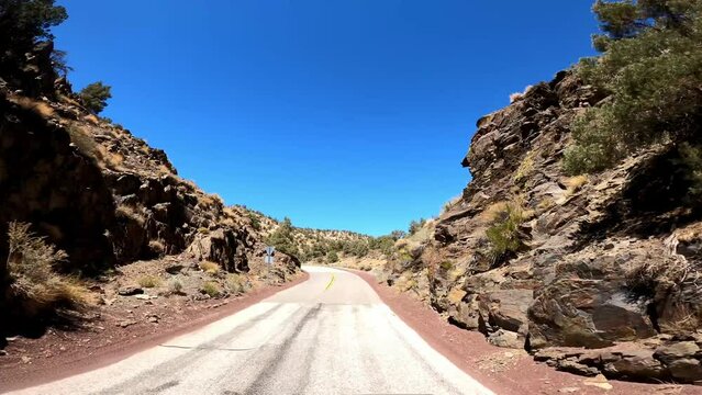Hwy 168 18 Patriarch Grove Driving POV California