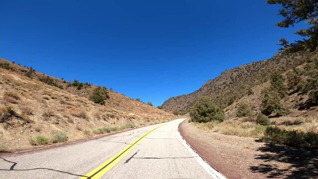 Hwy 168 15 Patriarch Grove Driving POV California
