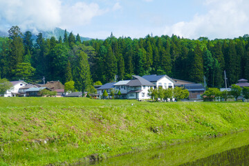 のどかな田園風景