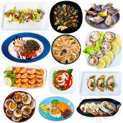 Collage of different plates of seafood on white background..