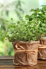 Aromatic potted oregano and basil on wooden table, closeup