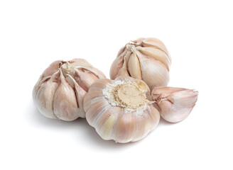 Garlic Isolated on white background