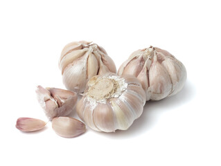 Garlic Isolated on white background