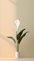 1314. minimalist Peace lily in front of light color wall. Generative Ai