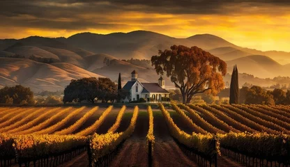 Zelfklevend Fotobehang vineyard in the sunset © Stream Skins