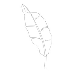 One continuous line drawing of banana leaf icon. Banana leaves line art. Abstract line art decorative concept of banana leaves. Single line drawing of banana leaves vector illustration. Tropical conce