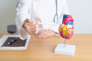 Doctor with human Heart anatomy model. Cardiovascular Diseases, Atherosclerosis, Hypertensive...