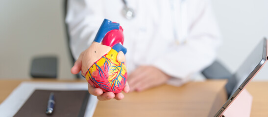 Doctor with human Heart anatomy model and tablet. Cardiovascular Diseases, Atherosclerosis,...