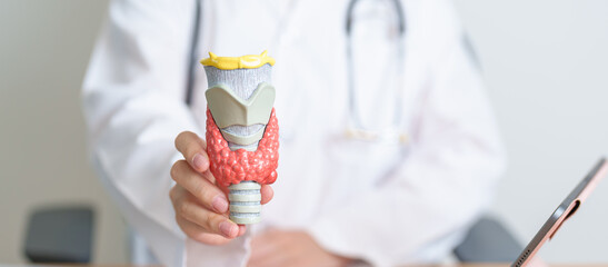 Doctor with human Thyroid anatomy model. Hyperthyroidism, Hypothyroidism, Hashimoto Thyroiditis,...