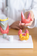 Doctor with human Thyroid anatomy model. Hyperthyroidism, Hypothyroidism, Hashimoto Thyroiditis,...