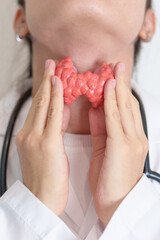 Doctor with human Thyroid anatomy model. Hyperthyroidism, Hypothyroidism, Hashimoto Thyroiditis,...