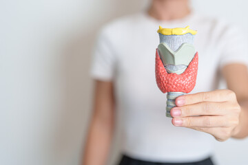 Woman holding human Thyroid anatomy model. Hyperthyroidism, Hypothyroidism, Hashimoto Thyroiditis,...