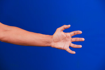 Human hand on a blue background.
