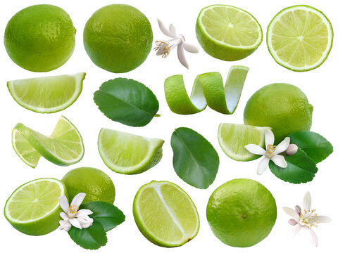 Limetten mit Bl&uuml;ten und Bl&auml;ttern, freigestellt mit transparentem Hintergrund