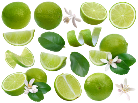 Limetten mit Blüten und Blättern, freigestellt mit transparentem Hintergrund