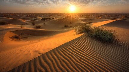 Fototapeta na wymiar Sahara Desert Africa sunset over the desert