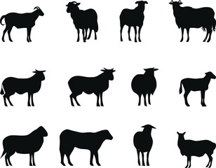 sheep and goat silhouettes set