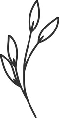 branch, wildflowers, flowers, line art, outline, illustration
