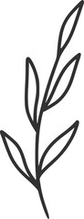 branch, wildflowers, flowers, line art, outline, illustration