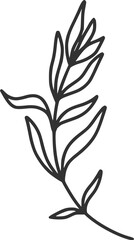 branch, wildflowers, flowers, line art, outline, illustration