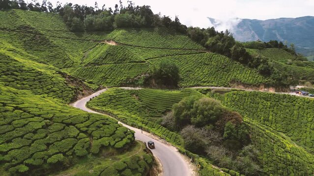 diving a tuk tuk in the tea plantation road in Munnar, Kerala - South India