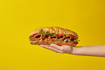 In the woman's hand is a Vietnamese bread filled with meat, rolls and pate served with vegetable on a yellow background. Advertising photo, Vietnamese street food. Front view, copy space