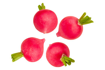 Several radishes isolated on transparent background.