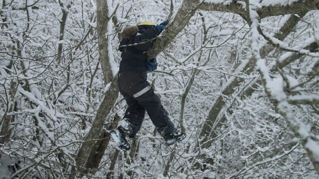 Young boy climbing in snowy tree and playing outdoors falling down from tree in winter