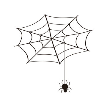 Spider Webs Vector