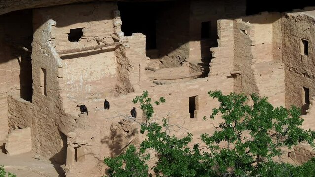 Sunny view of the historical ruins in Mesa Verde National Park