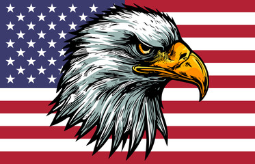 Eagle with American flag. Patriot eagle. Bald eagle vector illustration. Independence day. 4th July