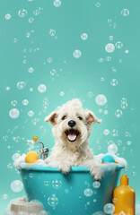 A cute little dog taking a bubble bath with his paws up on bubble the rim of the tub