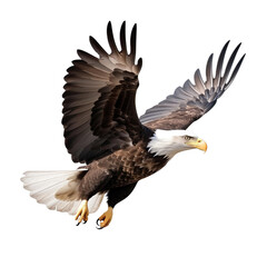 bald eagle Bird Flying in the air with open wingspan isolated on white background, Generative Ai
