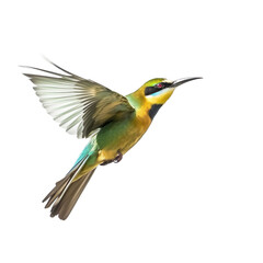 Bee-eater Bird Flying in the air with open wingspan isolated on white background, Generative Ai