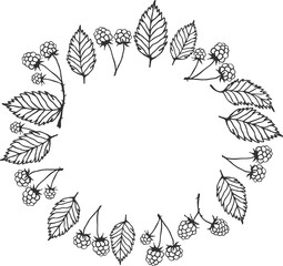 Raspberry sprigs rounded frame - berries and leaves, sketch illustration drawing with black outline