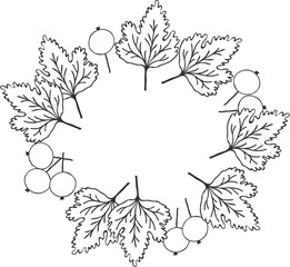Rounded frame with leaves and currant berries, illustration drawing with black outline