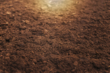 Close-up of fertile loam for the background - obrazy, fototapety, plakaty