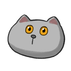 ブリティッシュショートヘア