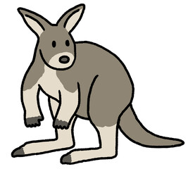 カンガルー