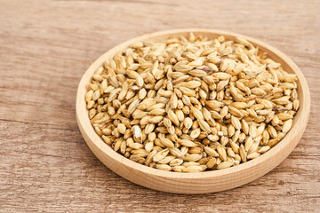 malt barley grain beer whole in wood plate on wood table background. pile of malt barley grain beer whole. heap of malt barley grain beer whole food background              