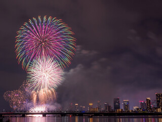 なにわ淀川花火大会を河川敷から眺める