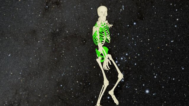 Skeleton kicking ball - glob -