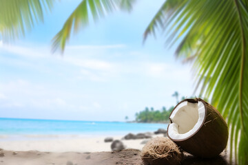 coconut tree on the beach background