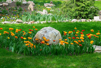 Landscape design. Flower bed with tulips and stones, close-up